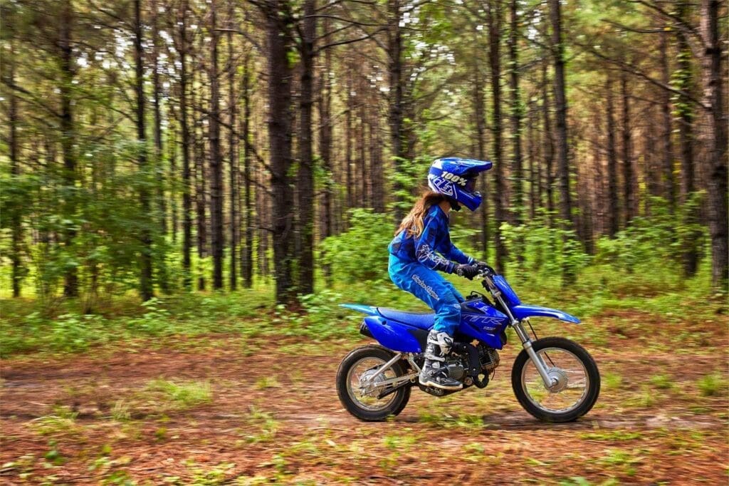 yamaha-ttr-110e
