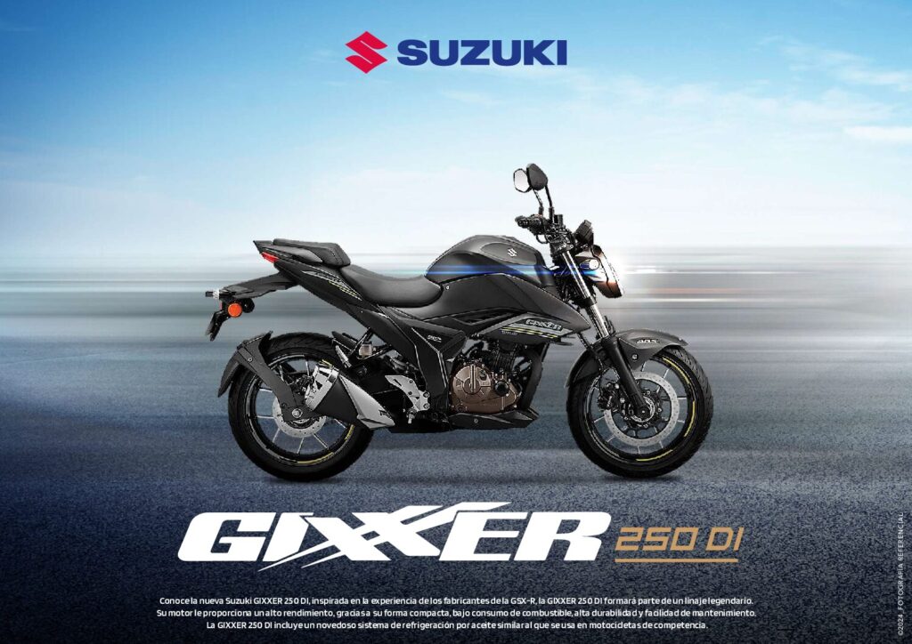 Suzuki Gixxer 250 DI