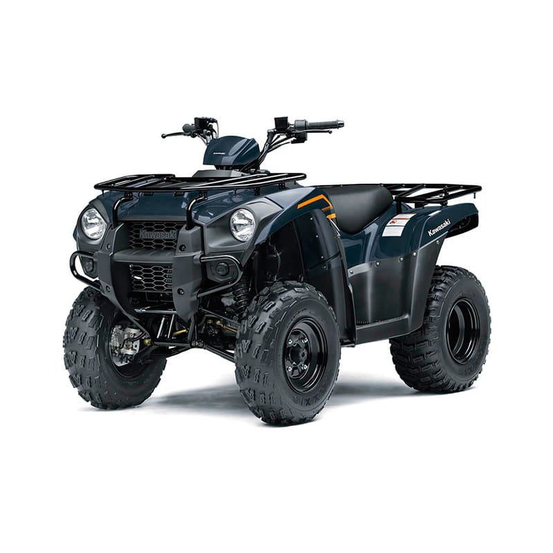Kawasaki BRUTE FORCE 300