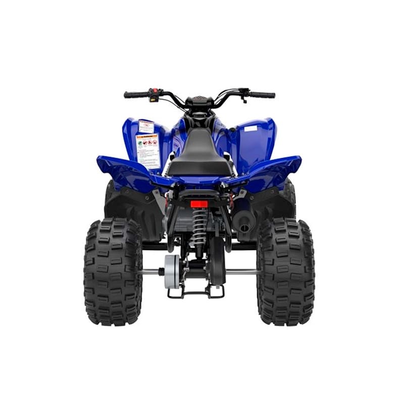 YAMAHA RAPTOR 110