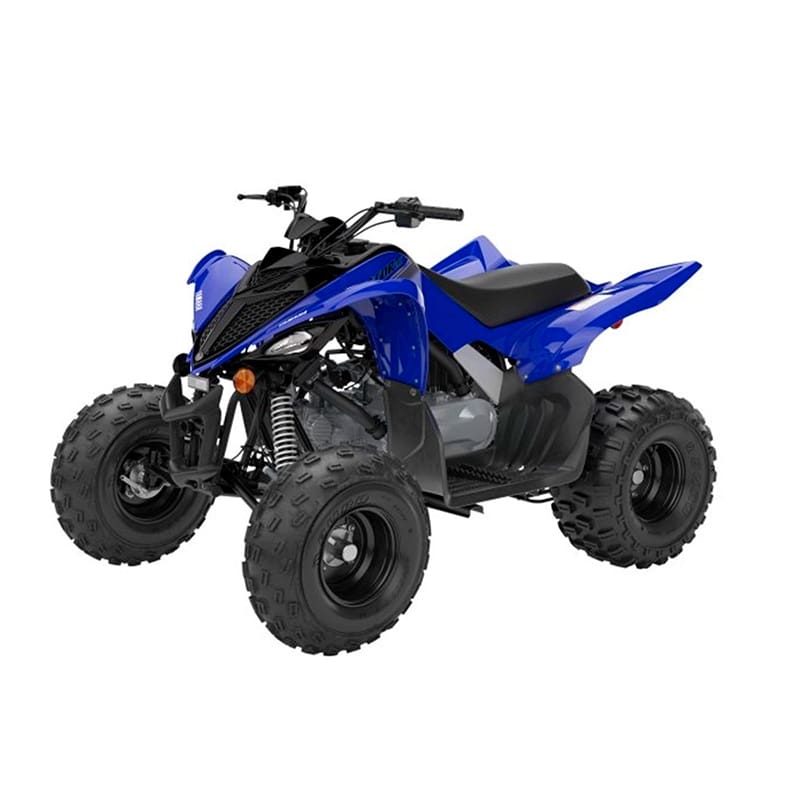 YAMAHA RAPTOR 110
